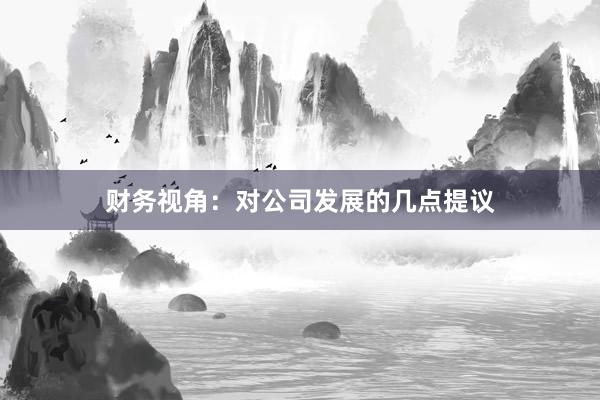 财务视角：对公司发展的几点提议